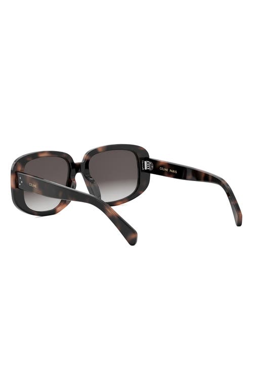 Celine Bold 3 Dots 55mm Geometric Sunglasses In Havana/gradient Roviex