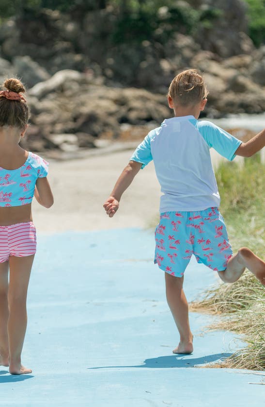 Shop Snapper Rock Kids' Lighthouse Island Swim Trunks In Blue