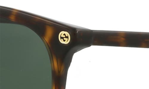 Gucci 53mm Round Oval Sunglasses In Havana Havana Green