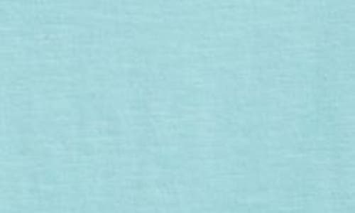 Apny Relaxed Fit Long Sleeve Cotton T-shirt In Nile Blue