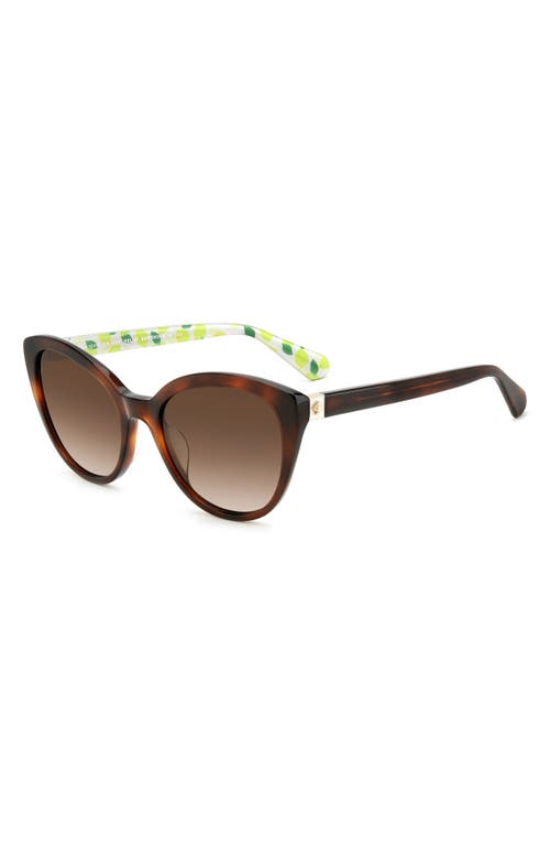 KATE SPADE KATE SPADE NEW YORK AMBERLEES 55MM GRADIENT EAT EYE SUNGLASSES 