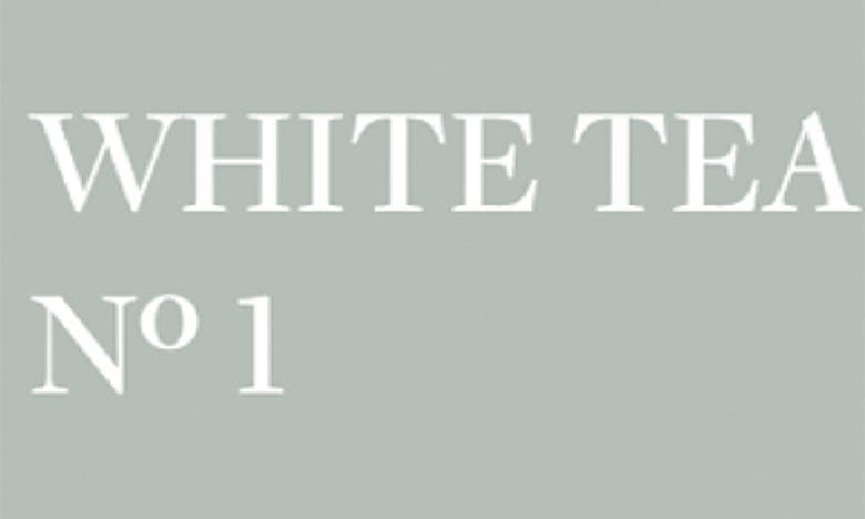 Shop Pura 2-pack Diffuser Fragrance Refills In White Tea No 1
