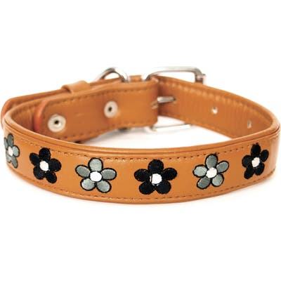Georgie Paws Jeanne Leather Dog Collar, Brown