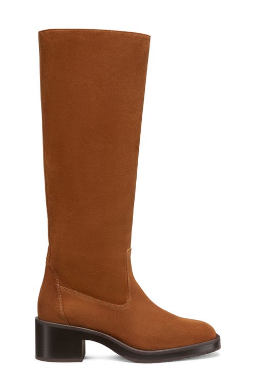 Shop Stuart Weitzman Kaia Knee High Boot In Coffee