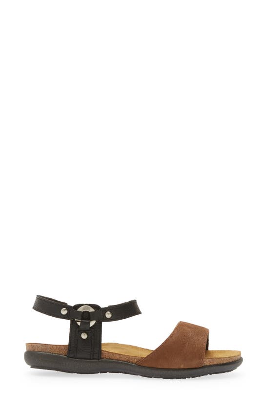 Naot Sabrina Sandal In Brown Suede/ Black Leather