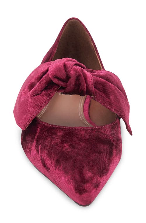 Bcbg Prely Mary Jane Pointed Toe Flat In Bordeaux