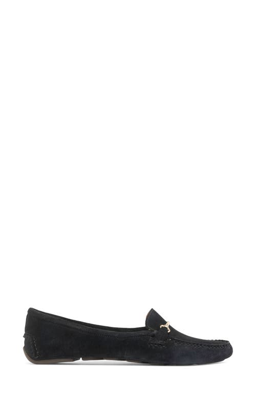 Shop Patricia Green Caroline Moc Toe Bit Loafer In Black Suede