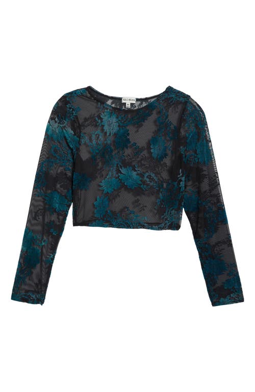 Shop Kilo Brava Floral Embroidered Mesh Long Sleeve Crop Top In Black Emerald