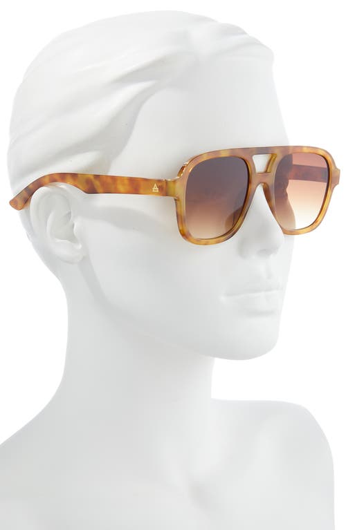 Aire Whirlpool 53mm Aviator Sunglasses In Vintage Tort/brown Grad