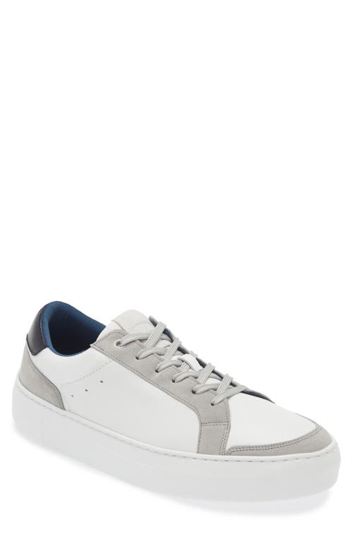 Dynamic Low Top Sneaker in White/Gray
