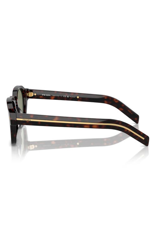 Prada Sunglasses With Iconic Metal Plaque In Green