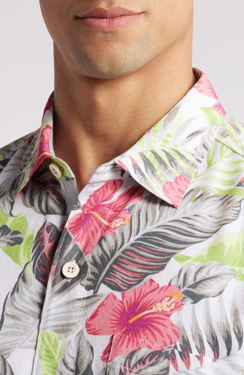 Shop Tommy Bahama Coconut Point Frond Escape Floral Islandzone® Short Sleeve Performance Button-up Shirt In Summer Grey