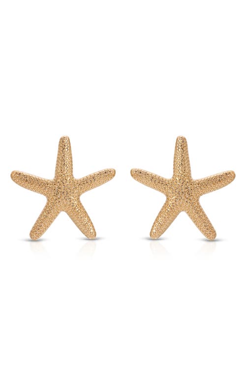 Ettika Statement Starfish Large Stud Earrings In Gold
