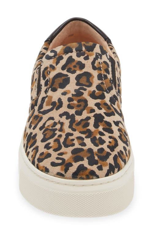 Shop Frankie4 Maxwell Slip-on Sneaker In Leopard
