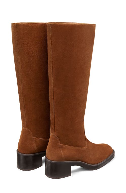 Shop Stuart Weitzman Kaia Knee High Boot In Coffee