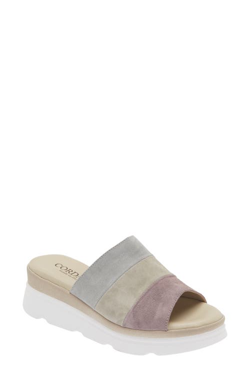 Cordani Andria Platform Slide Sandal in Lavender Combo 