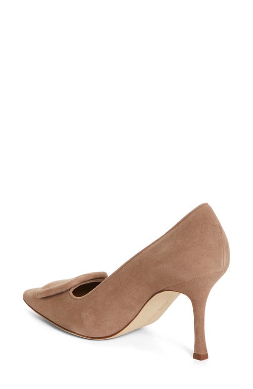 MANOLO BLAHNIK MANOLO BLAHNIK MAYSALE BUCKLE POINTED TOE PUMP