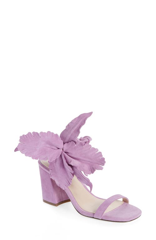Cecelia New York Hibiscus Sandal in Purple Suede