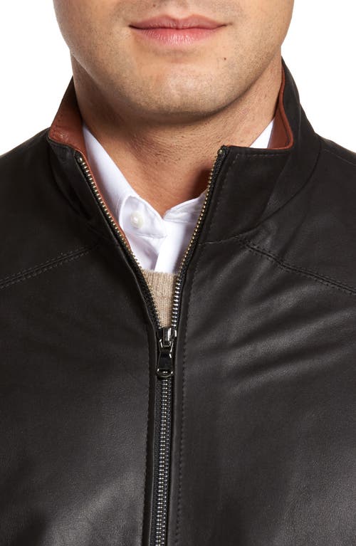 Shop Remy Leather Leather Jacket In Peat/timber