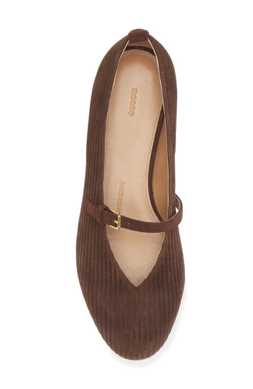 Shop Jw Anderson Suede Mary Jane Flat In Calfsuede Corduroy Brown