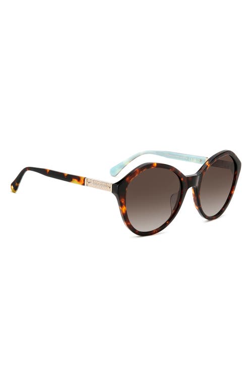 Kate Spade New York Jezebel 54mm Gradient Round Sunglasses In Havana/brown Gradient