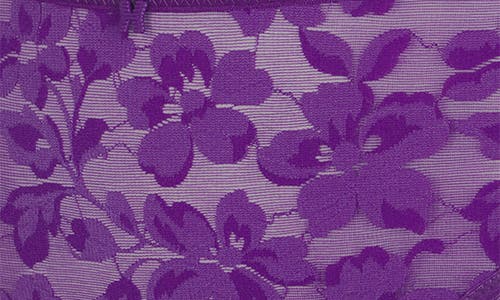 Savage X Fenty Lavish Lace Hipster Briefs In Purple Gem