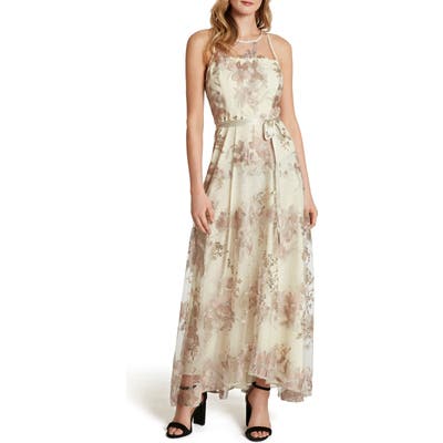 Tahari Embroidered Mesh Gown, White