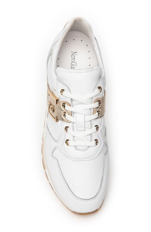 Shop Nerogiardini Logo Plate Sneaker In White/gold