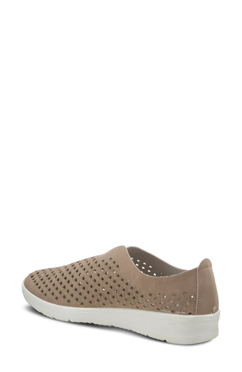 Flexus By Spring Step Centrics Slip-on Sneaker In Taupe