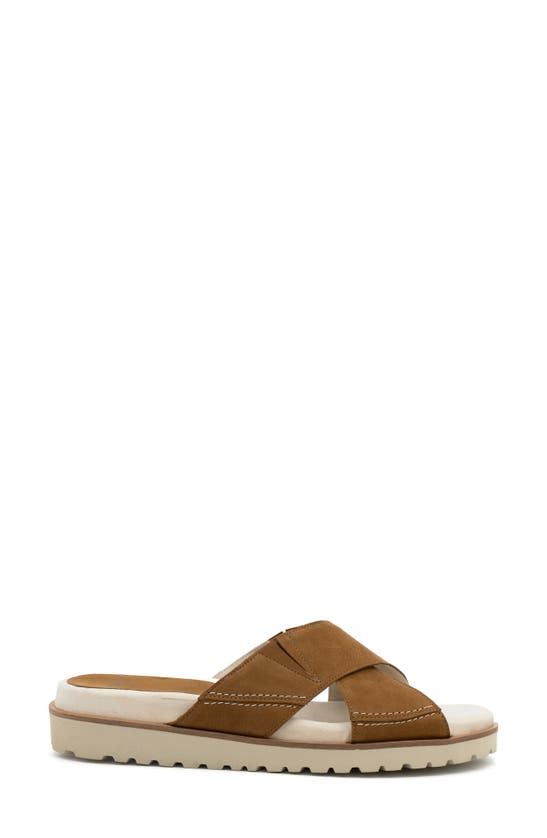 Shop Amalfi By Rangoni Barolo Platform Slide Sandal In Sequoia Tiffany