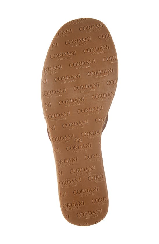 Shop Cordani Jesse Platform Wedge Sandal In Mignon Nappa Brown