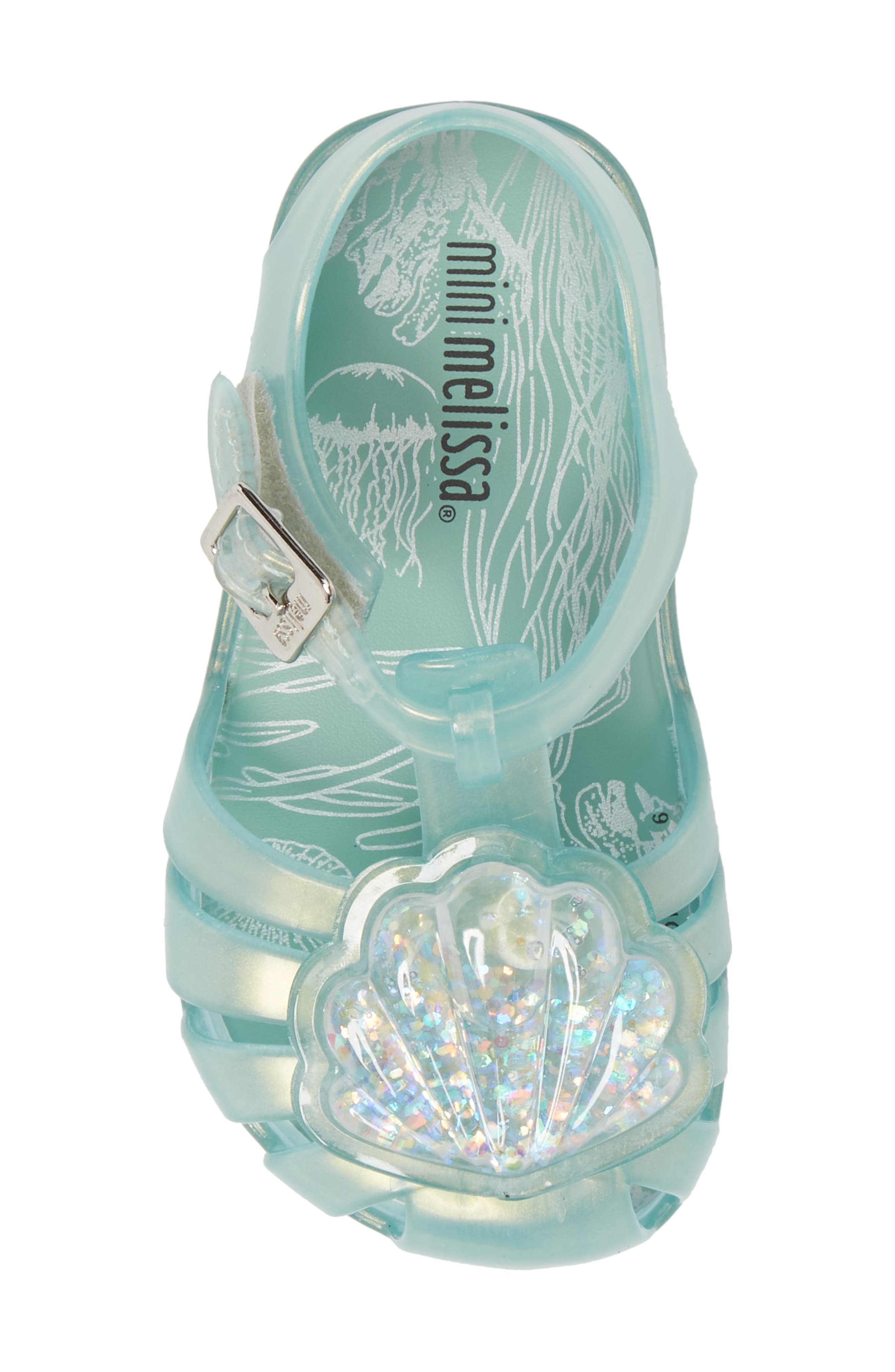 mini melissa aranha shell