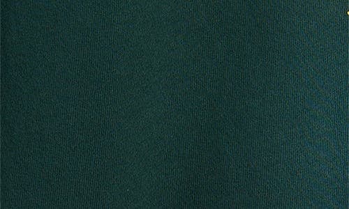 Shop Daydreamer Oxford Crest Cotton Blend Sweatshirt In Sun Faded Green