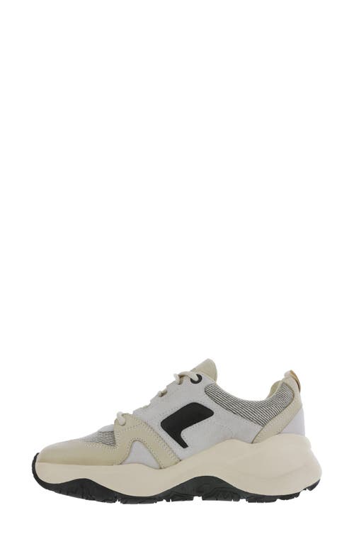 Sas Low Country-x Sneaker In Monahans