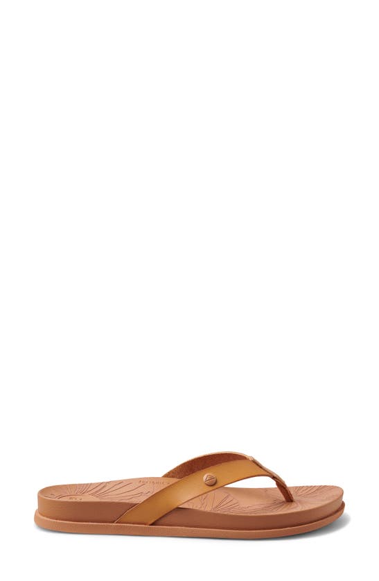 Shop Reef Cushion Porto Cruz Flip Flop In Natural