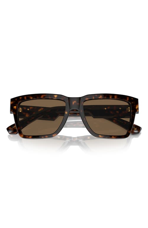 Dolce & Gabbana Dolce&gabbana 55mm Pilot Sunglasses In Brown