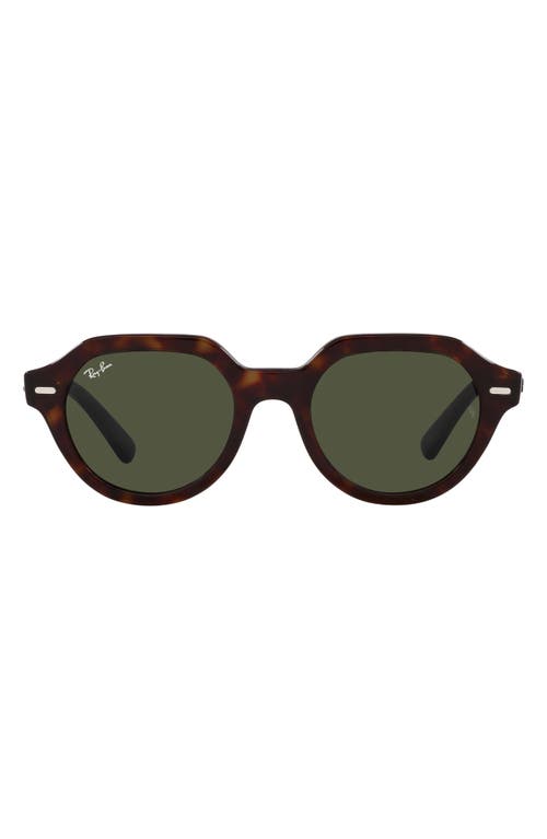 Ray-Ban Gina 53mm Square Sunglasses in Havana at Nordstrom
