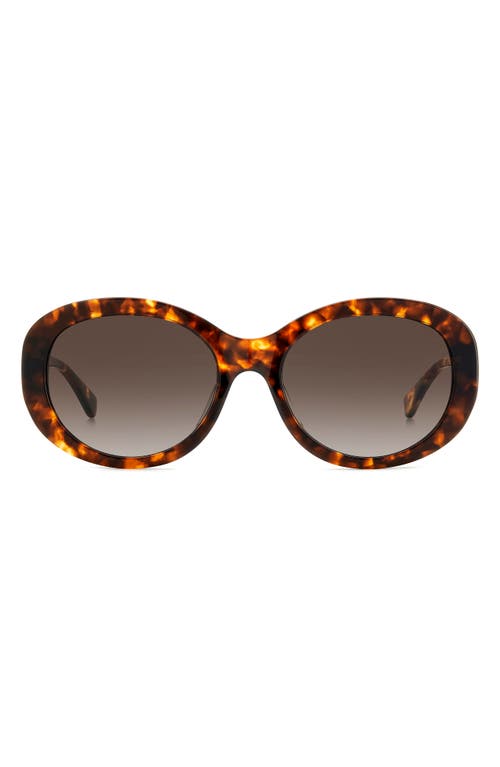 Kate Spade New York Avah 56mm Gradient Round Sunglasses In Havana/brown Gradient