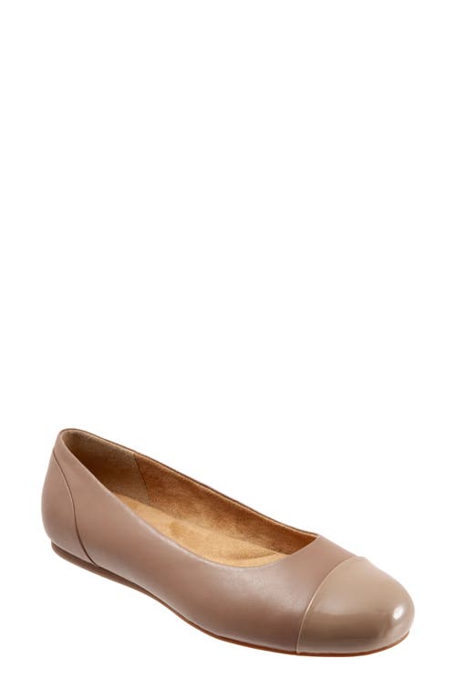 SoftWalk Sonoma Cap Toe Flat in Taupe Leather