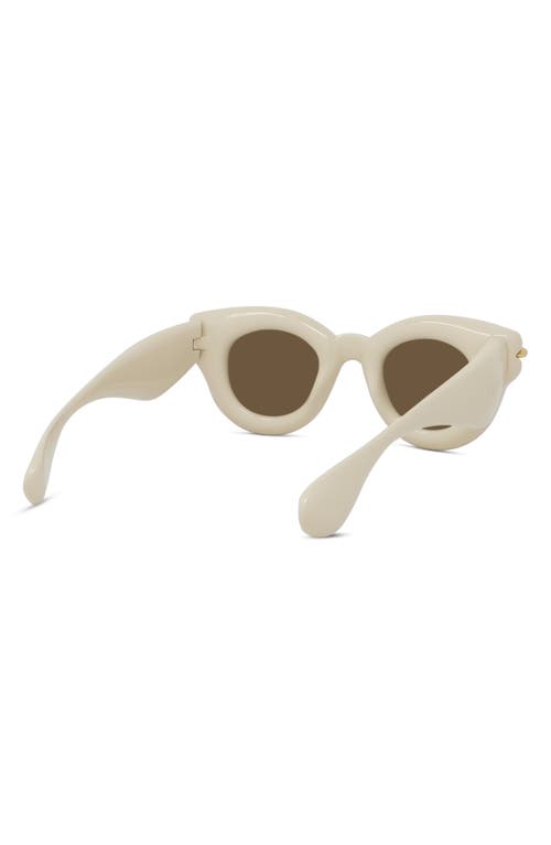 Shop Loewe Inflated Pantos 46mm Round Sunglasses In Ivory/brown