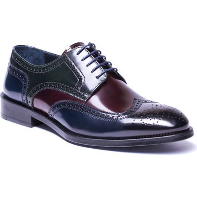Jared Lang Bryce Wingtip Derby, Blue