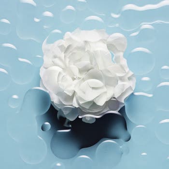 Chanel Skincare: The Hydra Beauty Camellia Water CreamFashionela