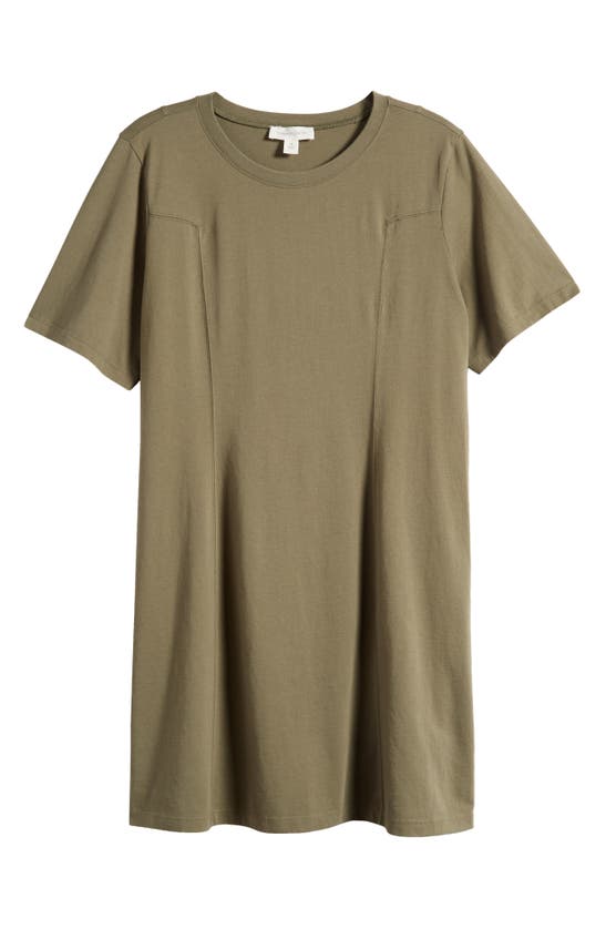 Shop Treasure & Bond Seamed Cotton T-shirt Dress In Olive Kalamata