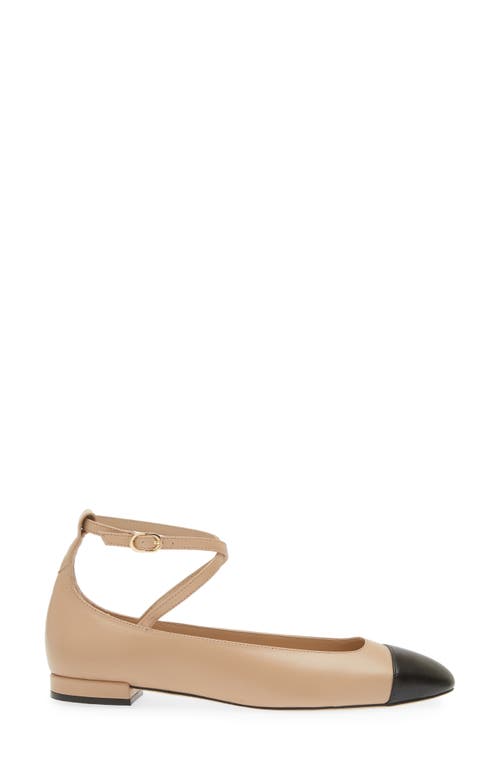 Shop Stuart Weitzman Eden Strap Flat In Adobe/black