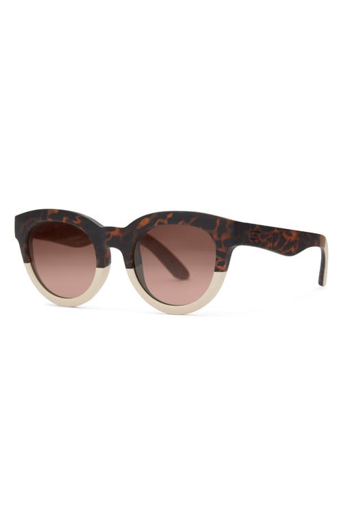 Toms Florentin 52mm Cat Eye Sunglasses In Matte Blonde Tort Oatmilk Fade
