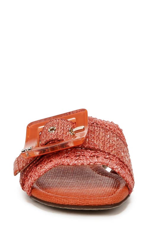 Shop Sam Edelman Bambi Raffia Buckle Slide Sandal In Terra Orange