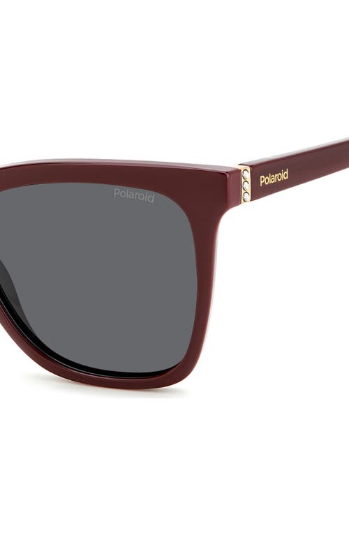 Shop Polaroid 55mm Polarized Square Sunglasses In Burgundy/gray Polarized