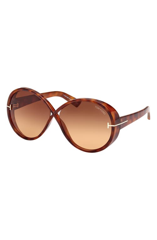 Shop Tom Ford Edie 64mm Oversize Round Sunglasses In Shiny Havana/brown Orange