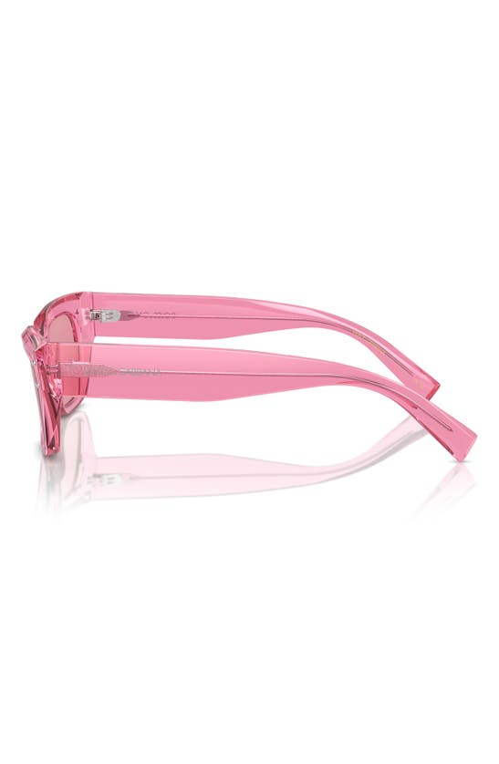 Shop Dolce & Gabbana Dolce&gabbana 52mm Cat Eye Sunglasses In Trans Pink