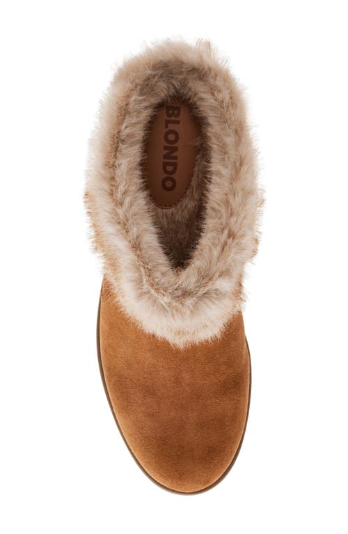 Shop Blondo Karoline Faux Fur Clog In Tan Suede